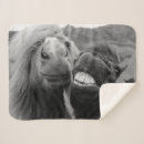 Suche nach lustige bilder decken Tiere