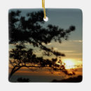 Recherche de california ornements Nature