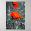Suche nach poppy poster Rot