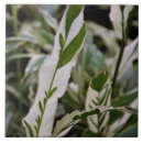 Suche nach esszimmer fliesen Dekor