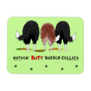Recherche de colley magnets Chiens