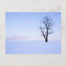 Recherche de grand format cartes postales Hiver