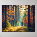 Recherche de vives posters Paysage