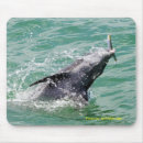 Suche nach delphine mousepads Strand