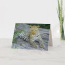 Suche nach wildkatzen karten Leopard