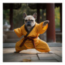 Suche nach kampfsport poster Kung fu