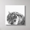 Suche nach weißer tiger leinwandbilder Dschungel