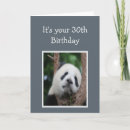 Suche nach glücklicher panda karten Bär