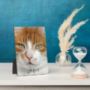Recherche de manuscrit plaques Pour tous