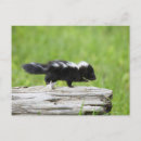 Suche nach skunk poster Schlampig