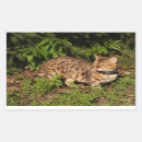 Suche nach gepunktete katze aufkleber Tier