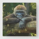 Recherche de gorrila horloges Primate