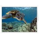 Suche nach grüner hintergrund postkarten Blau