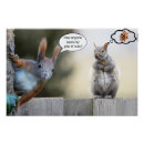 Suche nach nuss poster Eichhörnchen