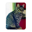 Suche nach katzenbild magnete Katzenliebhaber