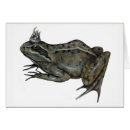 Suche nach froschprinzen postkarten Prinzessin