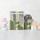 Suche nach birken geschenkpapier Weiß
