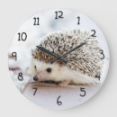Recherche de hérissons horloges Animaux