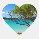 Recherche de usvi autocollants Tropical