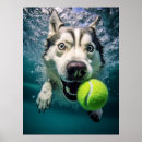 Suche nach diving poster Niedlich
