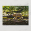 Suche nach jagt poster British columbia