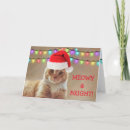 Recherche de cat christmas vœux cartes Fête