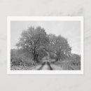 Suche nach eiche postkarten Bäume