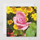 Suche nach rosa gelbe rosen karten Botanisch