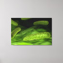 Recherche de rapport impressions sur toile 3d