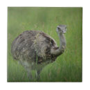 Suche nach großer vogel fliesen Strauß