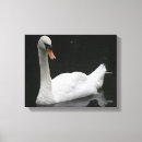 Suche nach schöner vogel leinwandbilder Weiß