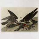 Recherche de pèlerin puzzles Oiseau