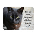 Recherche de amour de chat magnets Pour tous