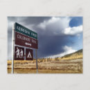 Recherche de arbre peuplier cartes postales Chute