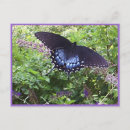 Recherche de fleuristes cartes postales Jardin