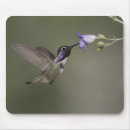 Suche nach das vogel fliegen mousepads Flug