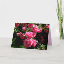 Suche nach rosenkarten karten Blume
