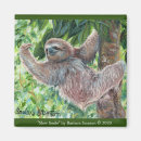 Recherche de le costa rica magnets Jungle