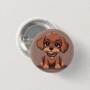 Suche nach kragen buttons Hund