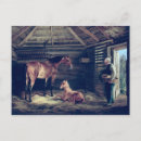 Recherche de foal Animal