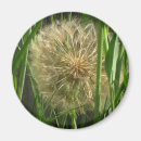 Suche nach dandelion magnete Unkraut