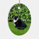 Suche nach schwarzweiss katze ornamente Miezekatze