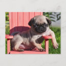 Recherche de ennui posters Plaisir