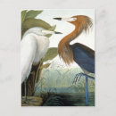Suche nach felsenmalerei poster Vogelvogel