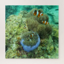 Suche nach clownfische puzzle Kind
