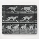 Recherche de courant tapis souris Photographie