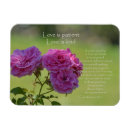 Recherche de amour patient magnets Rose