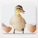 Suche nach nahrung und getränk mousepads Quadrat