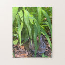 Suche nach kaninchen puzzle Tiere