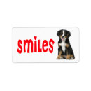 Recherche de berner autocollants Chiot